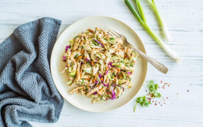 Spicy Lime Chicken Coleslaw Salad