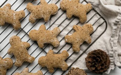 Gingerbread Protein Cookies